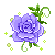 Hoa hong xanh